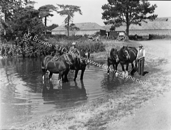 WATERING THE HORSES / TEAM